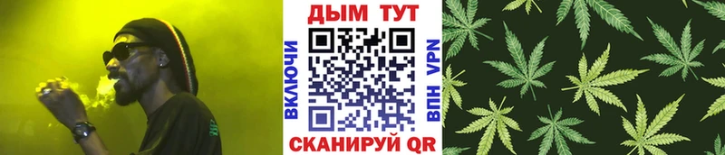 как найти наркотики  Ельня  Бошки Шишки планчик 